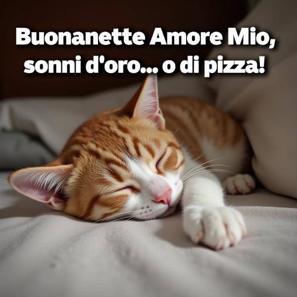 Immagini divertenti di buonanotte per l'amore mio