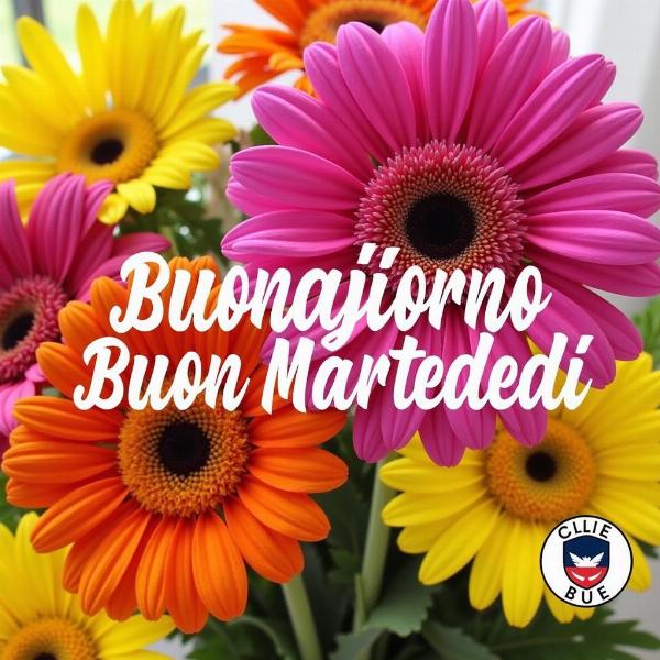 Immagini di buongiorno buon martedì con fiori