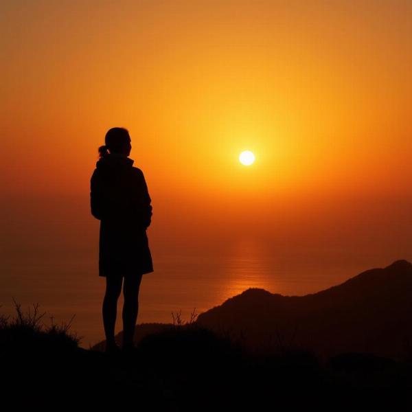 Silhouette di una persona che guarda l'alba