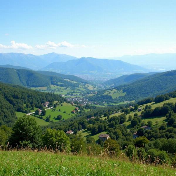 Vista Panoramica di San Martino Buon Albergo